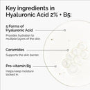 Ácido hialurônico 2% + b5 soro hidratante com essência de ceramidas 30ml